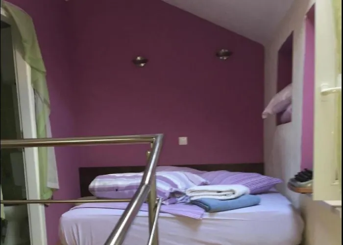 Elena St - Duplex Purple Apartment Split